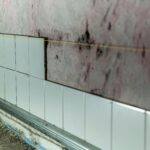 Mold Remediation